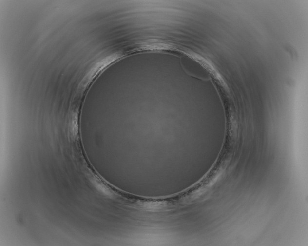 X0000113180889200909181851