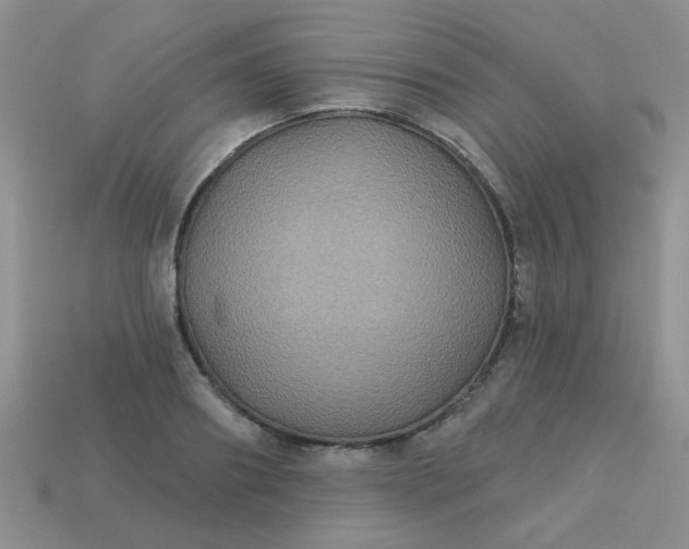 X0000113180890200909181851