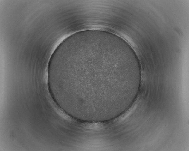 X0000113180891200909181851