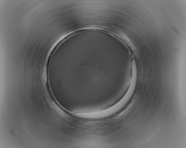 X0000113180892200909181851