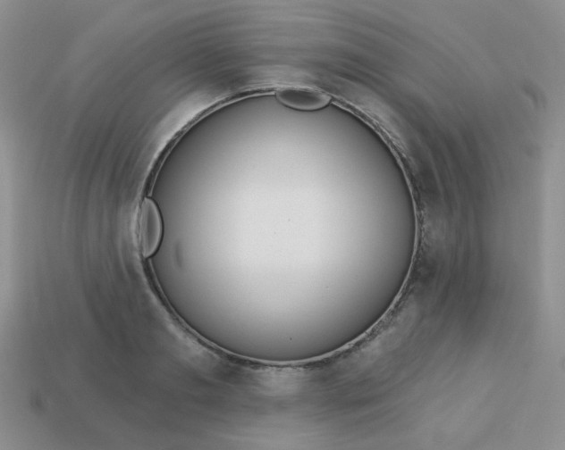 X0000113180893200909181851