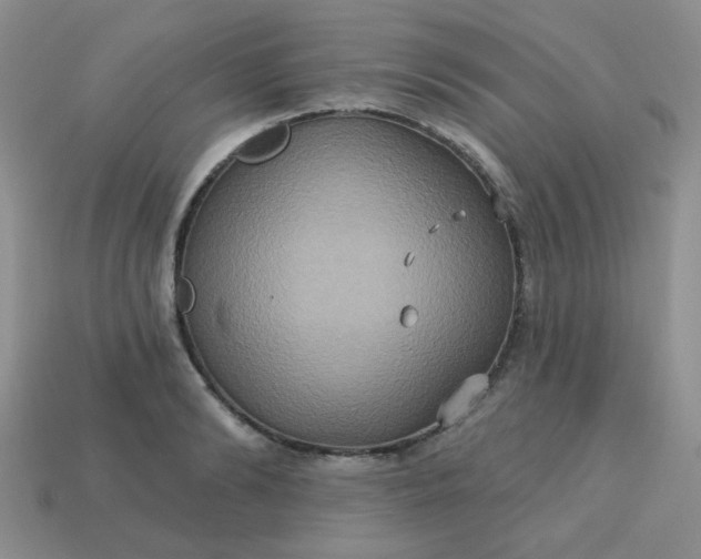 X0000113180894200909181850