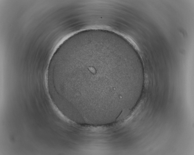 X0000113180895200909181850