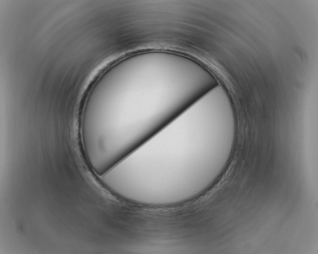 X0000113180896200909181850