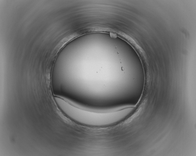 X0000113180897200909181850