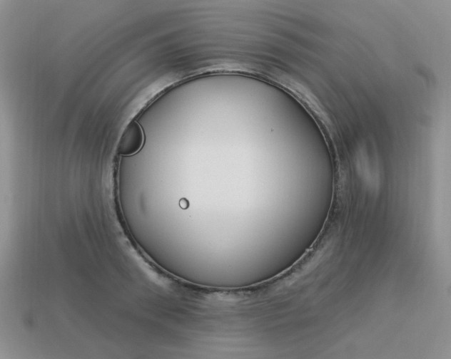 X0000113180898200909181850