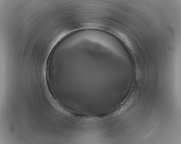 X0000113180899200909181850