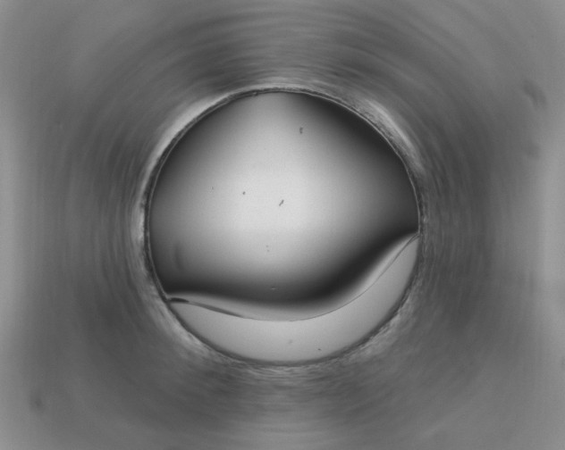 X0000113180900200909181850