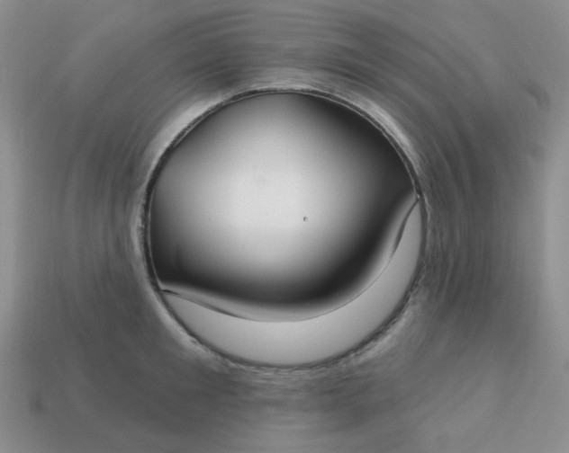 X0000113180901200909181850