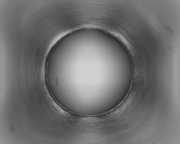 X0000113180902200909181850