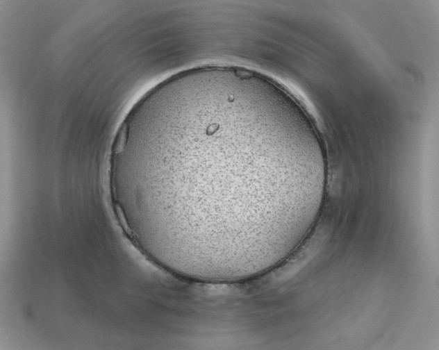 X0000113180903200909181850