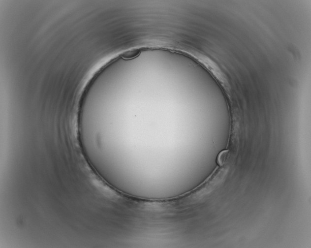 X0000113180904200909181850