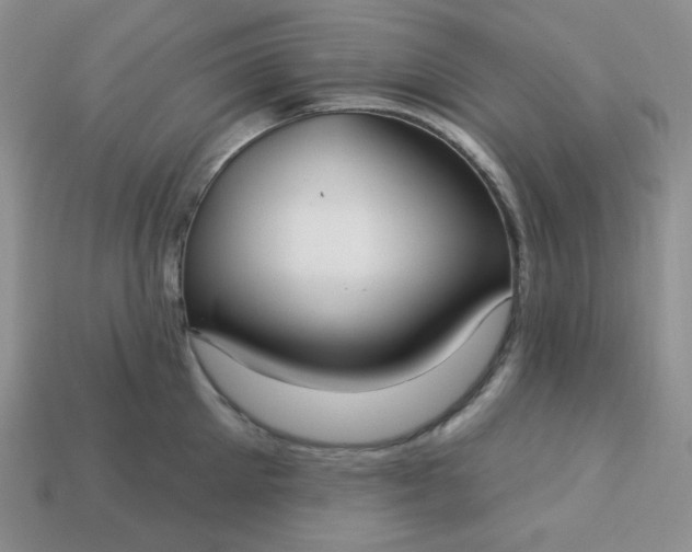 X0000113180905200909181850