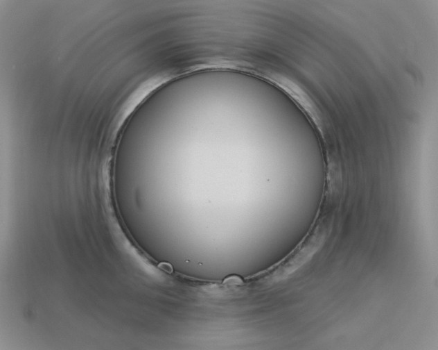 X0000113180906200909181850