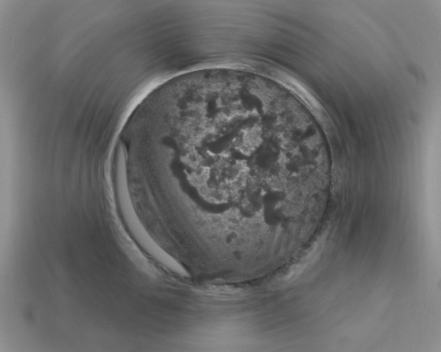 X0000113180907200909181850