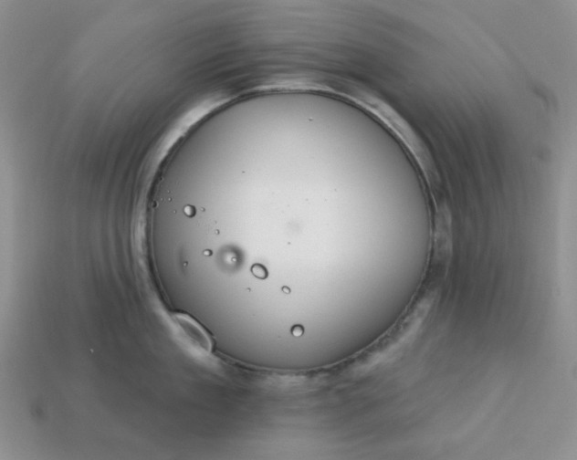 X0000113180909200909181850