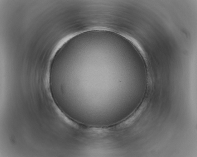 X0000113180910200909181850