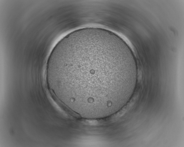 X0000113180911200909181850