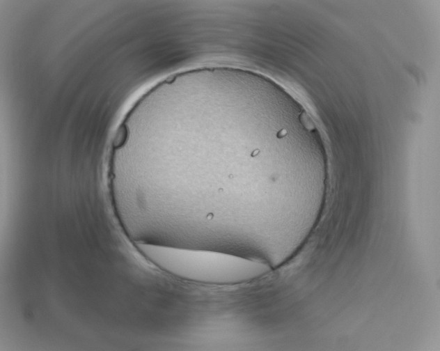 X0000113180912200909181850