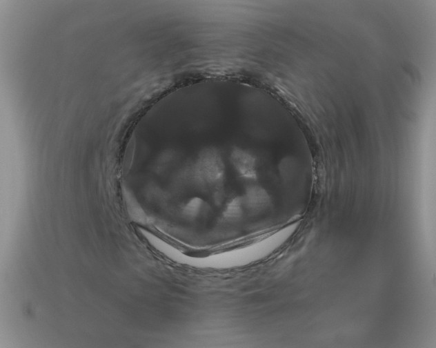 X0000113180913200909181850