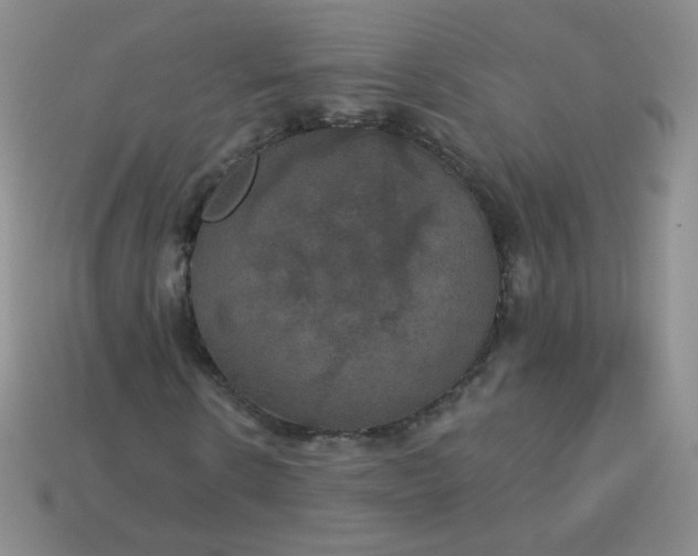 X0000113180914200909181850