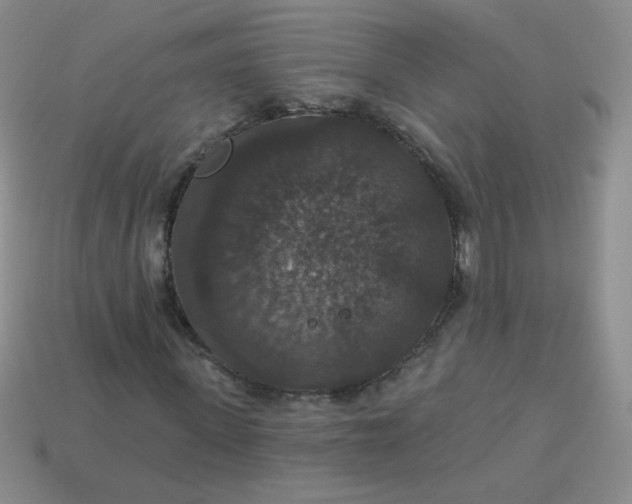 X0000113180915200909181850