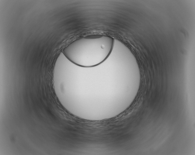 X0000113180916200909181850