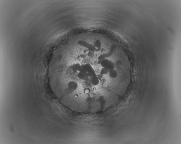 X0000113180917200909181850