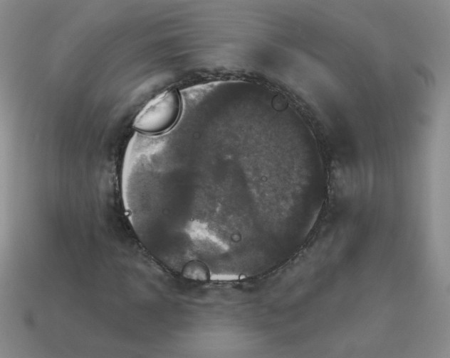 X0000113180918200909181850