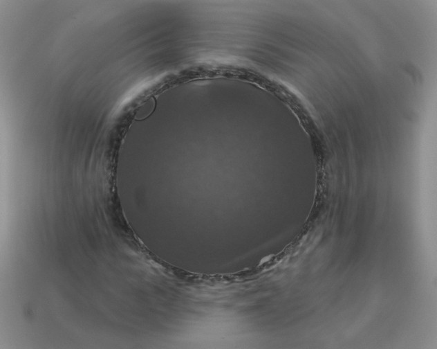 X0000113180919200909181850