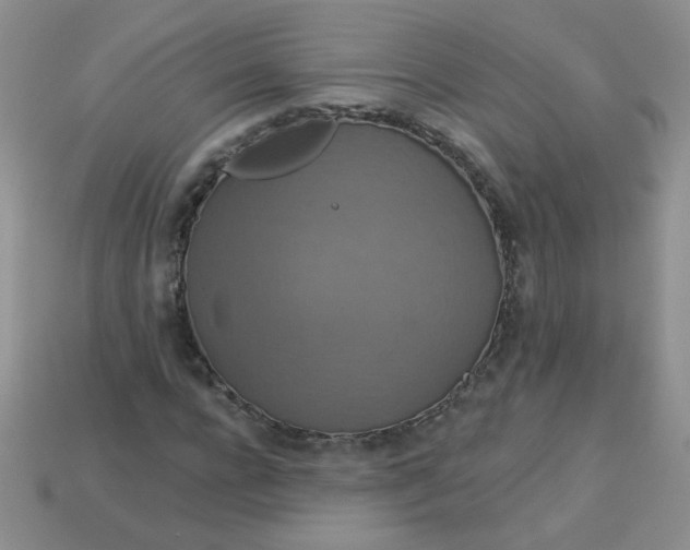 X0000113180920200909181850