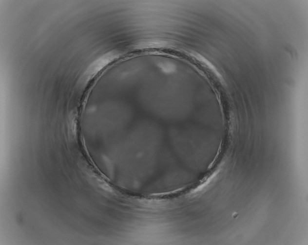 X0000113180921200909181850