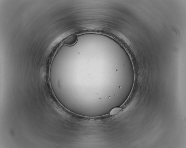 X0000113180922200909181850