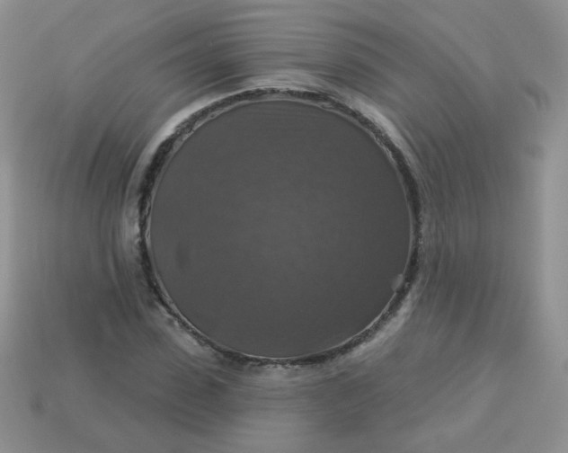 X0000113180923200909181850