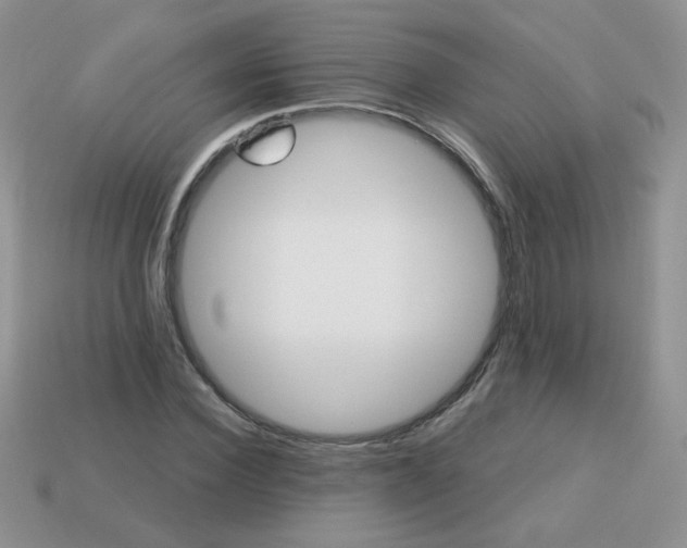 X0000113180924200909181850