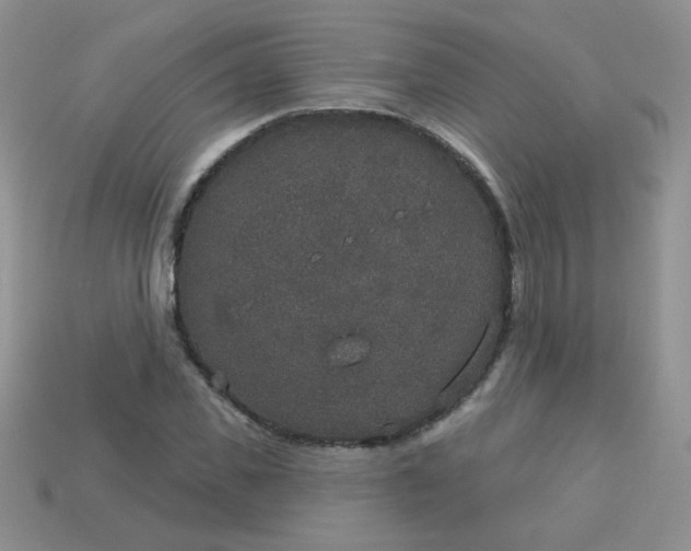 X0000113180925200909181850