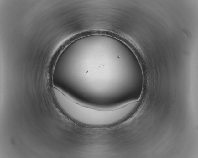 X0000113180926200909181850