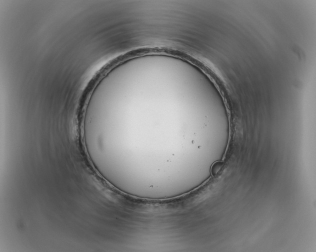 X0000113180927200909181850