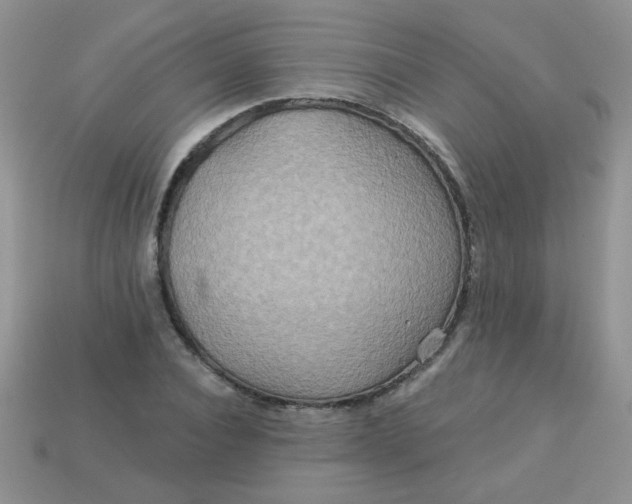 X0000113180928200909181850