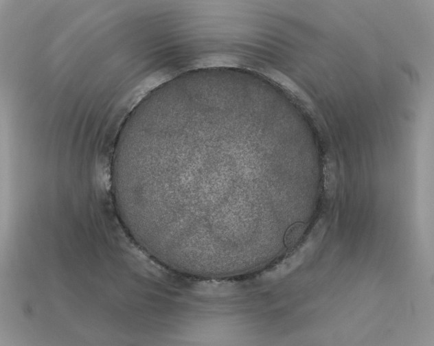 X0000113180929200909181850