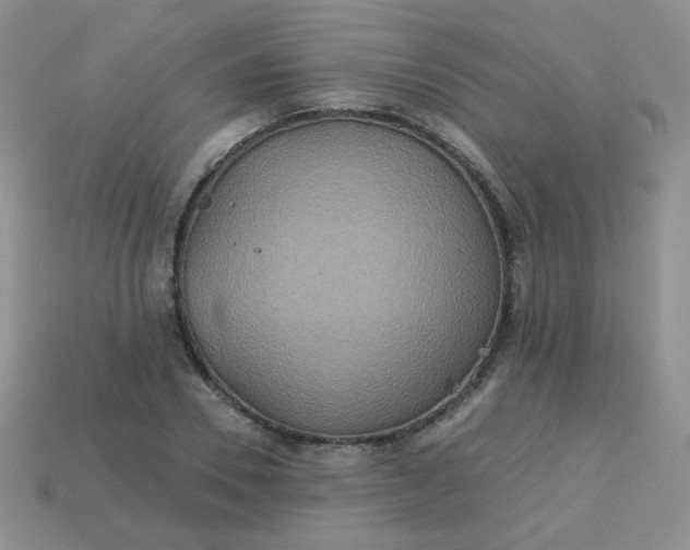 X0000113180930200909181850