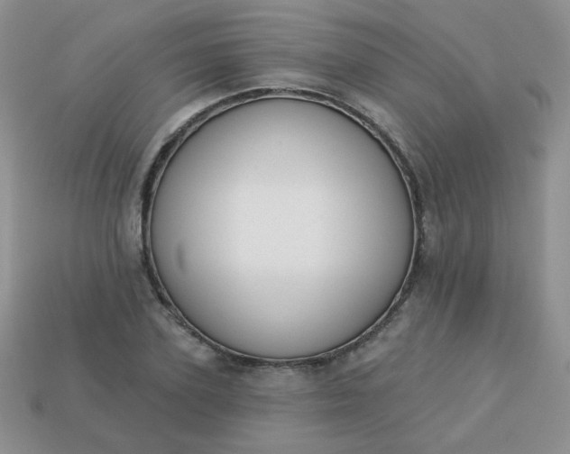 X0000113180931200909181850