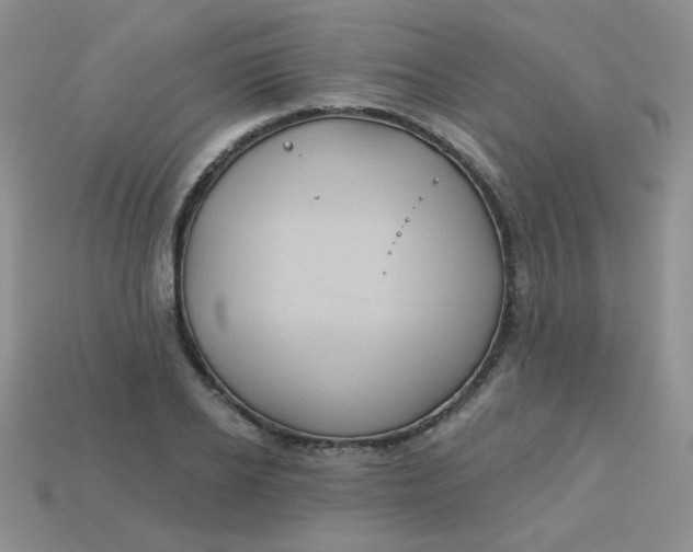 X0000113180934200909181850