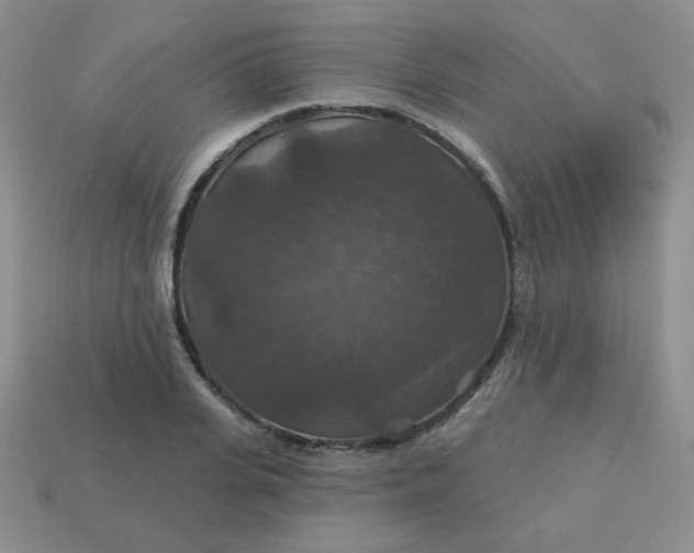 X0000113180935200909181850