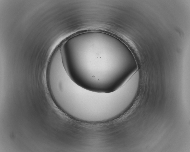 X0000113180936200909181850