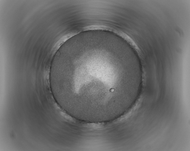 X0000113180937200909181850