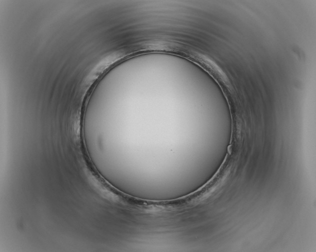 X0000113180938200909181850