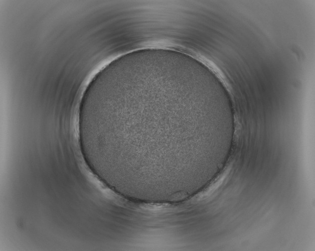 X0000113180939200909181850