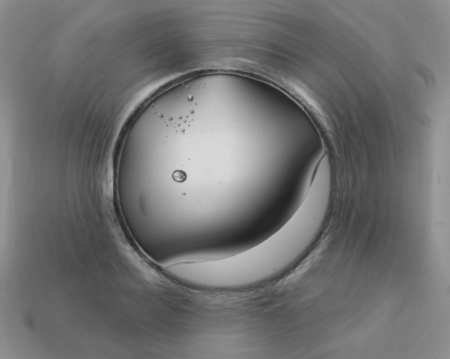 X0000113180940200909181850