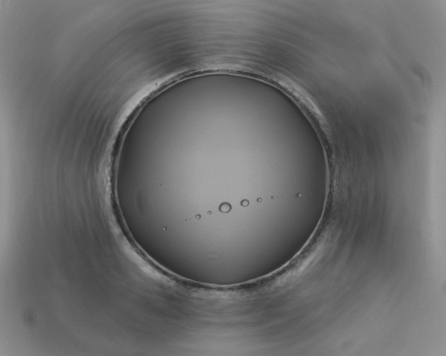 X0000113180941200909181850